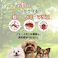 アース・ペット 薬用ショットオン 小型犬用 3本入り