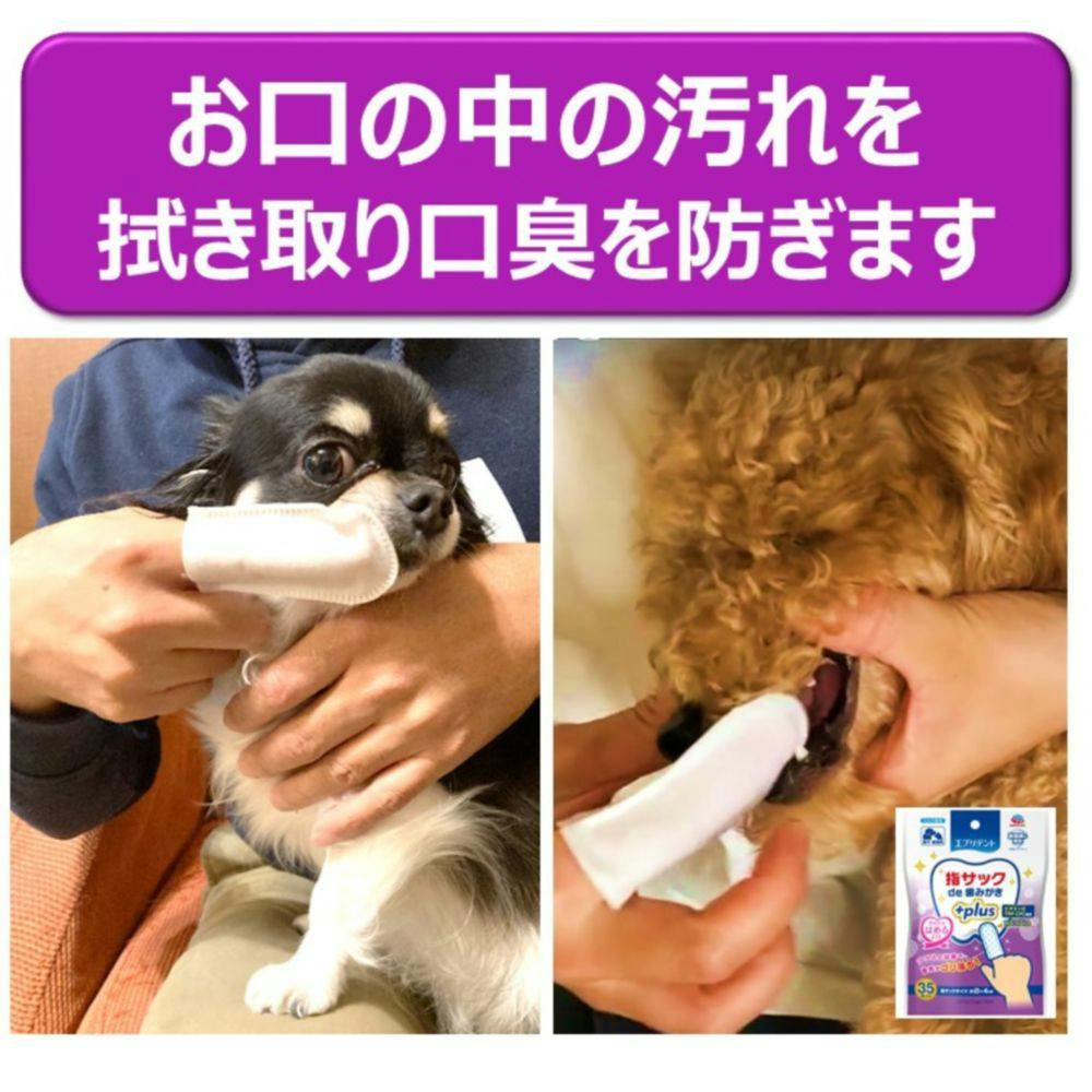 アース・ペット エブリデント 指サックde歯みがきプラス 35枚入り | ペット用品（犬） | ホームセンター通販【カインズ】