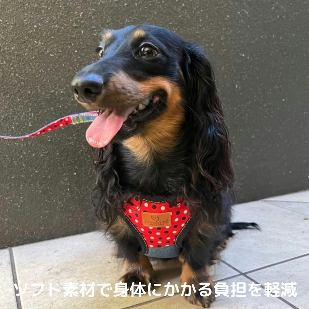 ペッカリー caridei 黒色 サイズ6.5 ペッカリー caridei 黒色 サイズ6.5 ペッカリー caridei 黒色