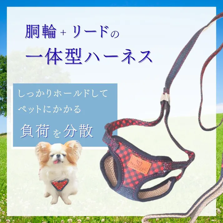 エブリデイ チェックデニム胴輪付リード ブラック S