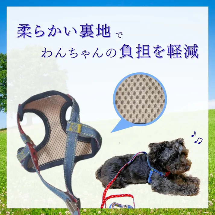 エブリデイ チェックデニム胴輪付リード ブラック S