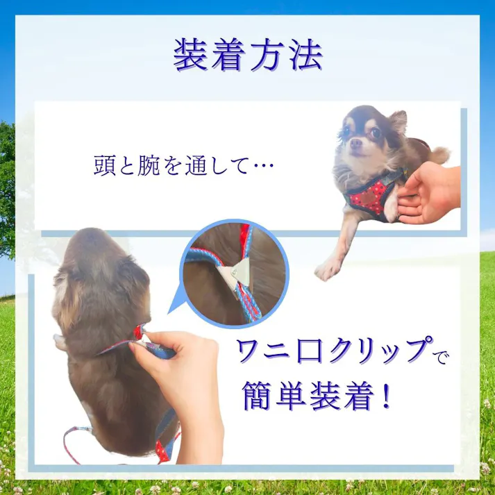 エブリデイ チェックデニム胴輪付リード ブラック S