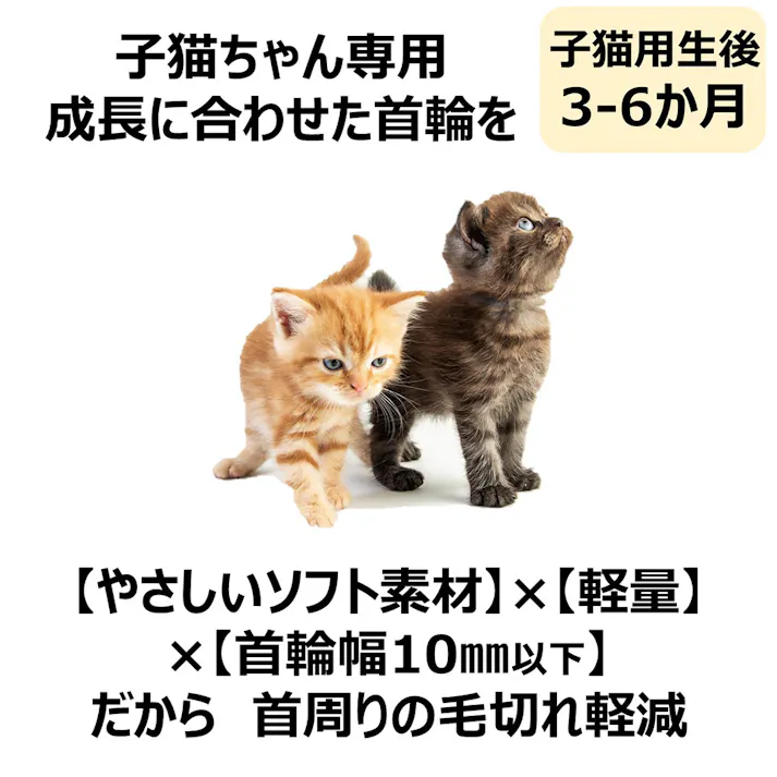 ねこモテ 子猫用 スターブルー Sカラー 青