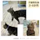ねこモテ 子猫用 スターブルー Sカラー 青