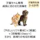 ねこモテ猫首輪オルテガSミニ 紺橙