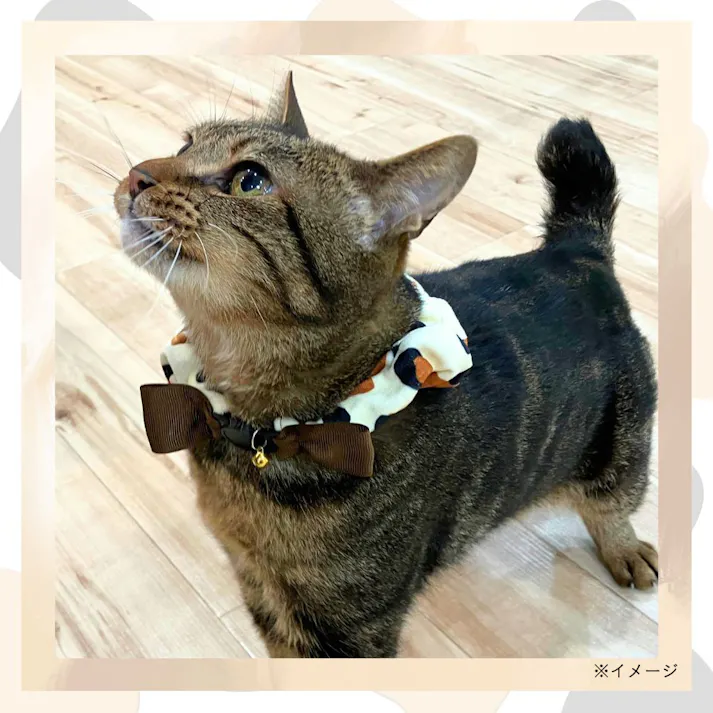 ねこモテ やわらかソフト のびーる機能付 ふわふわ首輪 ミケ