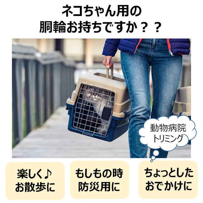 ねこモテ猫胴輪 オルテガ 8の字セット ミニ 紺橙