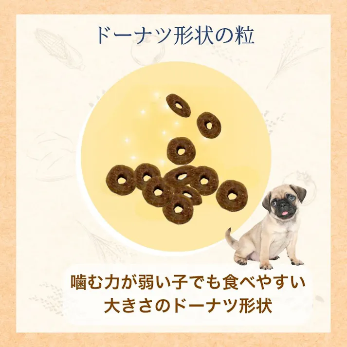 ファーストチョイス 子犬 離乳期-1歳 1.2Kg