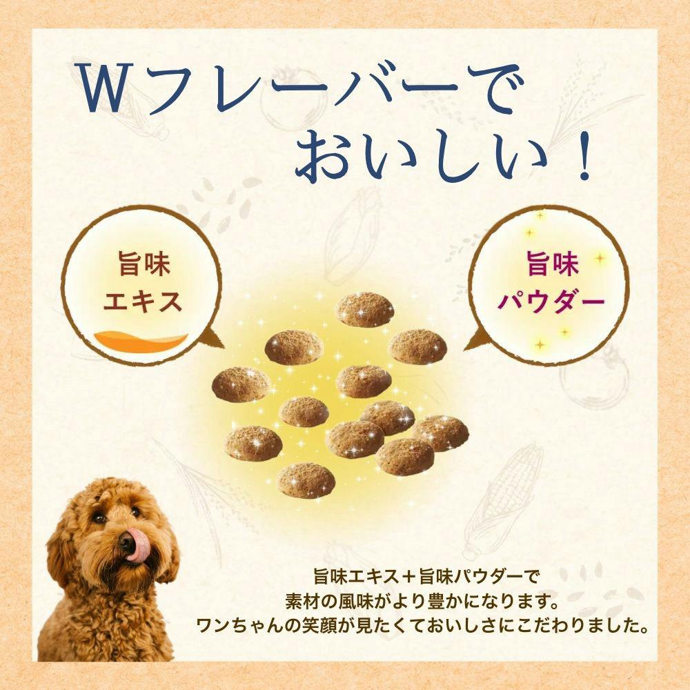 ファーストチョイス 成犬 1歳以上 600g | ドッグフード 通販