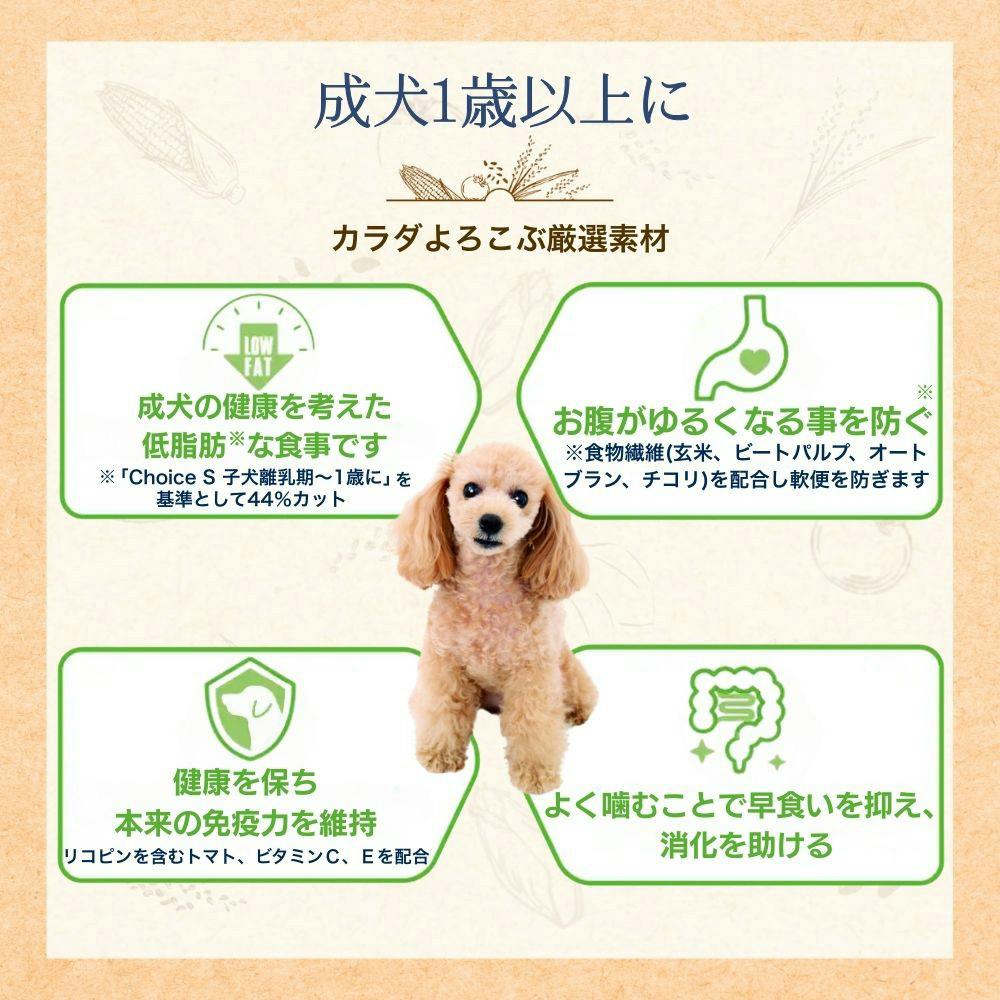 ファーストチョイス Choice S 成犬1歳以上 2.4Kg | ドッグフード 通販