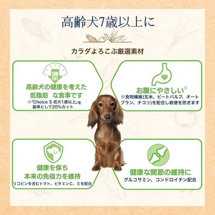 ファーストチョイス 高齢犬7歳以上 2.2kg