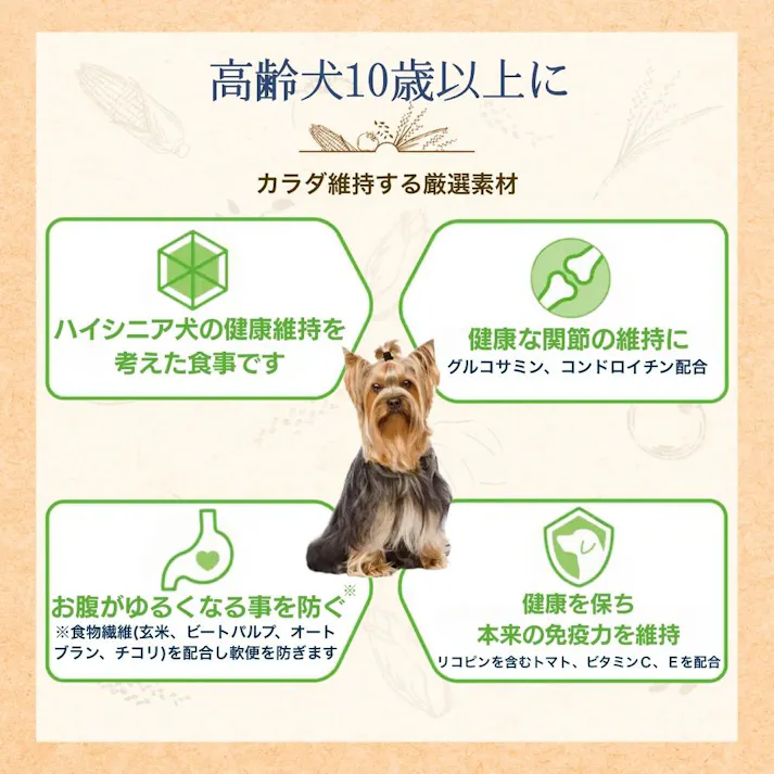 ファーストチョイス Choice S 高齢犬10歳以上 2.2kg
