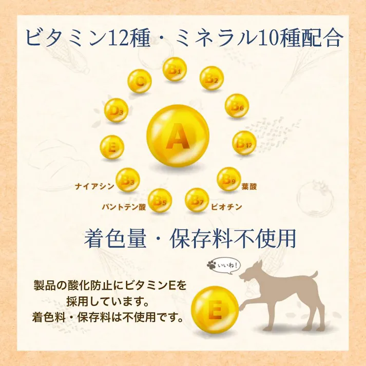 ファーストチョイス Choice S 高齢犬10歳以上 2.2kg
