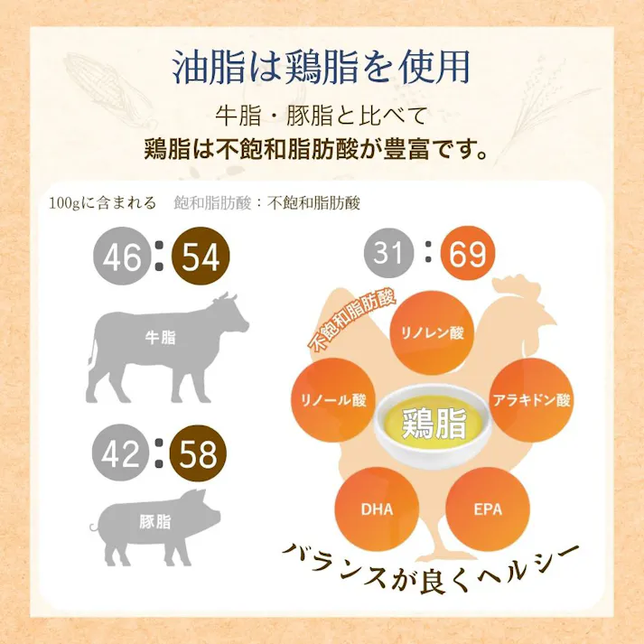 ファーストチョイス Choice S 高齢犬10歳以上 2.2kg