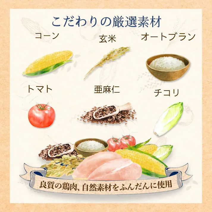 ファーストチョイス ダイエット 成犬 1歳以上 1.1kg