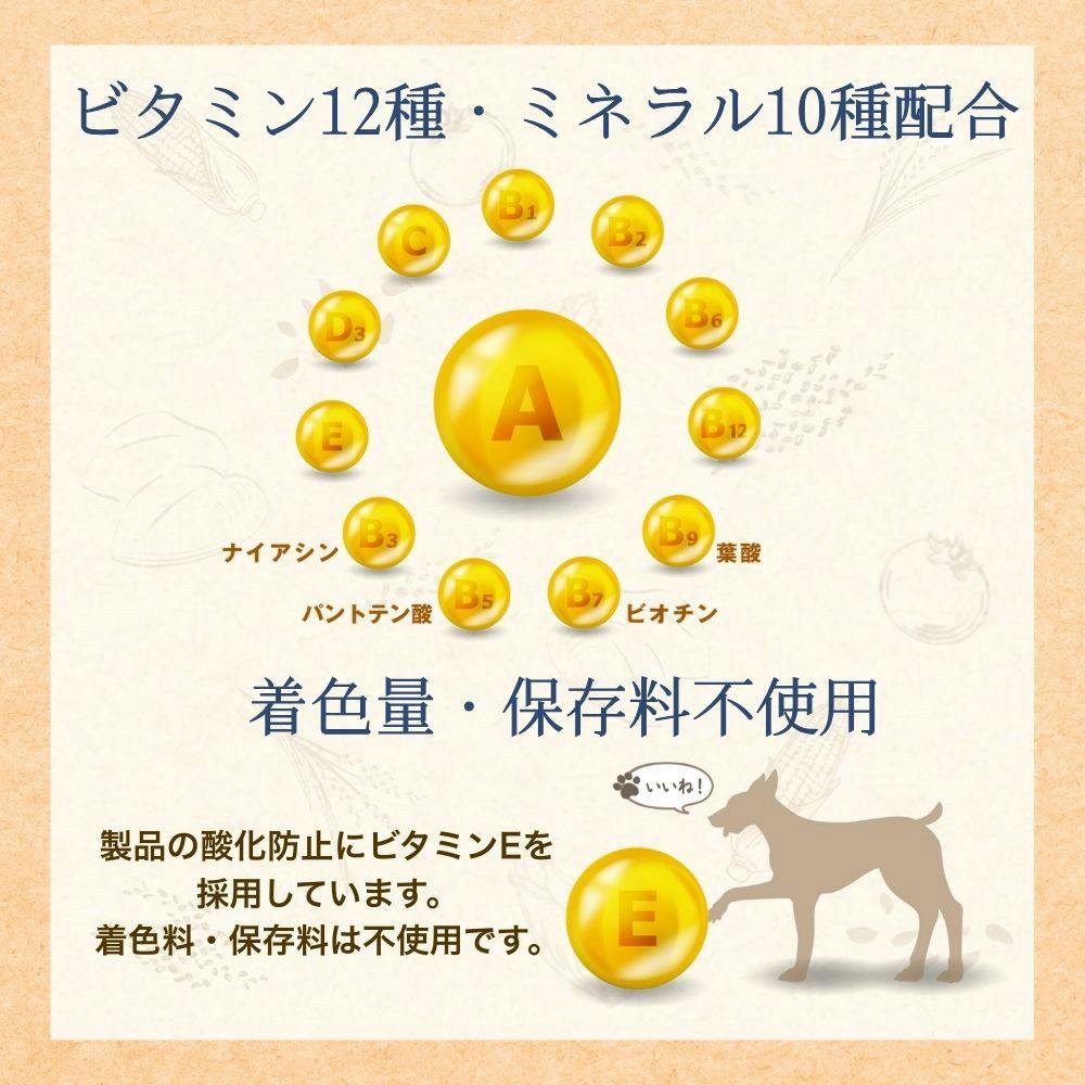 ファーストチョイス Choice S ダイエット成犬1歳以上 2.2kg