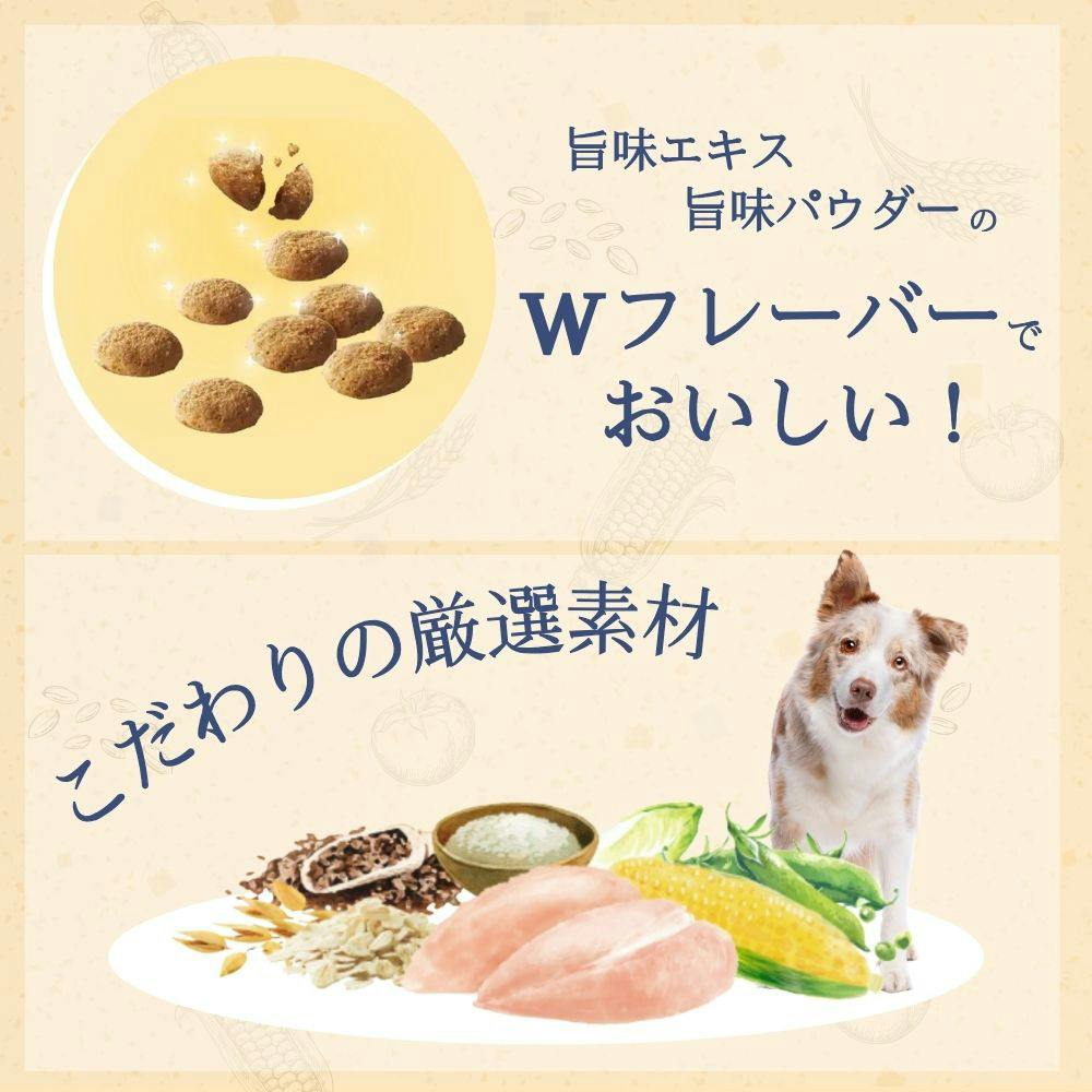 ファーストチョイス お肉が好きな子に チキン 成犬 1.2Kg
