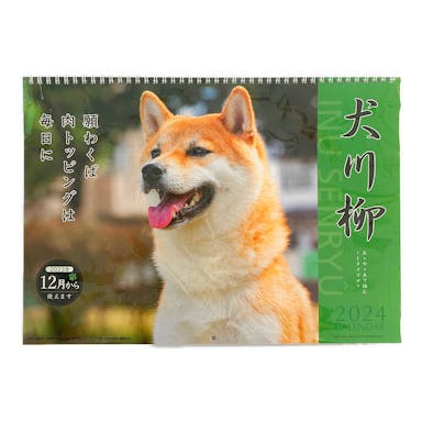アートプリントジャパン 2024年 壁掛け 犬川柳 カレンダー 1000128376(販売終了)