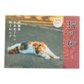 アートプリントジャパン 2024年 壁掛け 猫川柳 カレンダー 1000128377(販売終了)