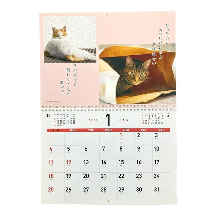 2026年 壁掛けカレンダー 猫川柳