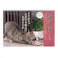 2026年 壁掛けカレンダー 猫川柳