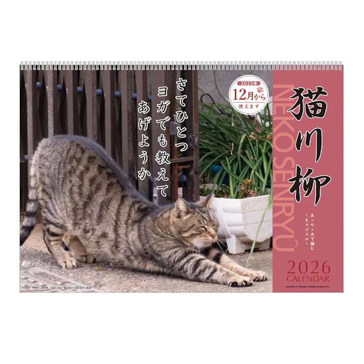 2026年 壁掛けカレンダー 猫川柳
