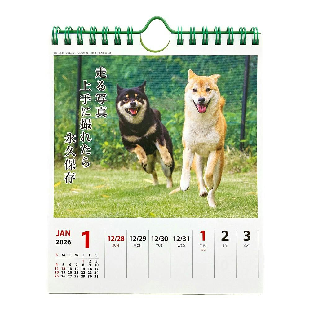 つかいふるしのいぬ 住商アグロ ハーツ デンタルティーザー 超小型犬（4562149055106）｜犬