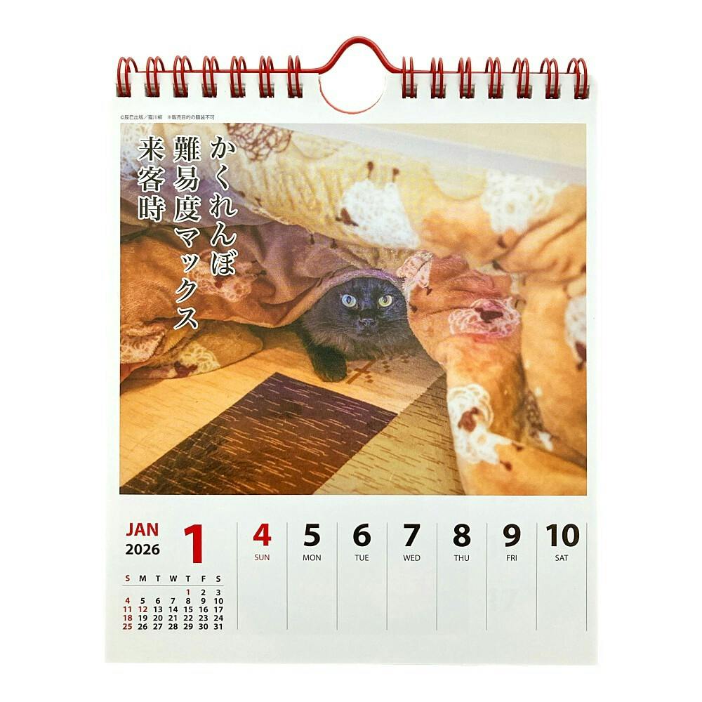 【ねこページ】2つ目　及川まとめ売り 2025年3月、全国一斉に「ねこ検定」開催決定！東京農業大学 動物行動学