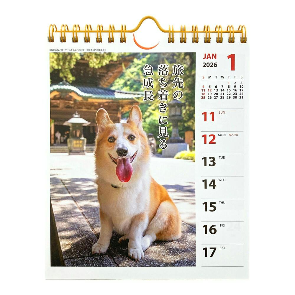 2026年 卓上カレンダー コーギー川柳 週めくり | 文房具・事務用品