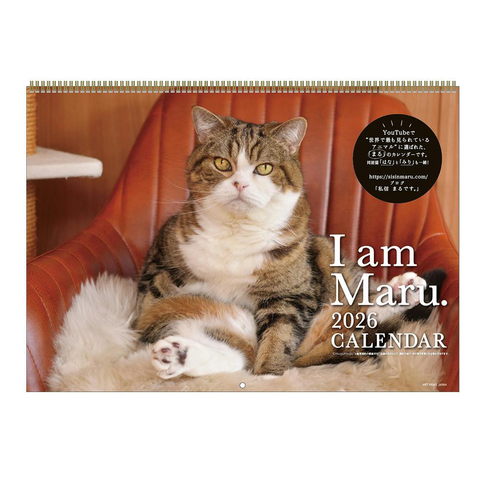 2026年 壁掛けカレンダー まるちゃん カレンダー
