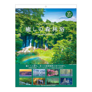 2026年 壁掛けカレンダー 癒しの森林浴 森の香り付