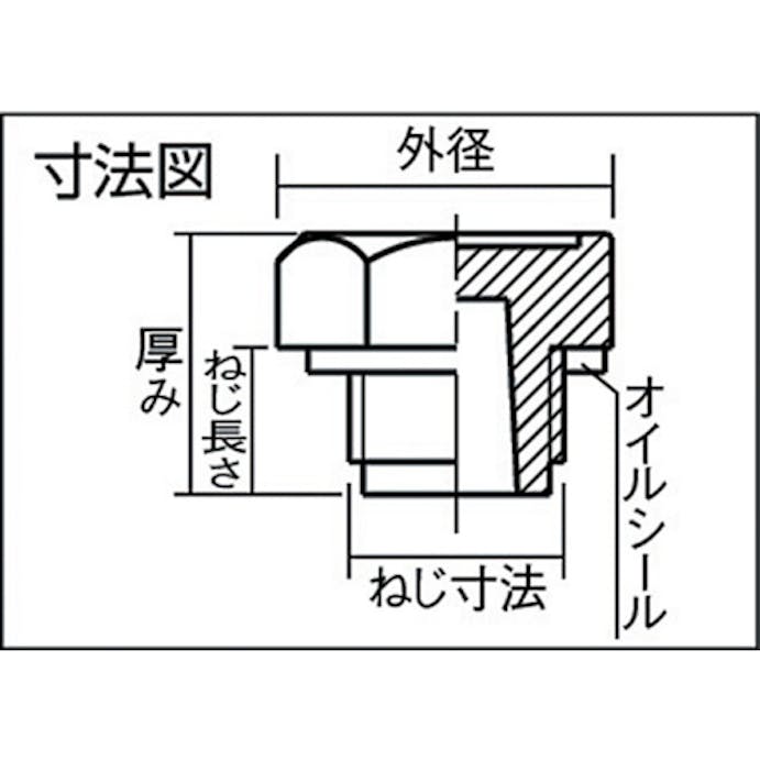 【CAINZ-DASH】イマオコーポレーション オイルプラグ　二面幅寸法１９ｍｍ　厚さ１６ PN-1/4【別送品】