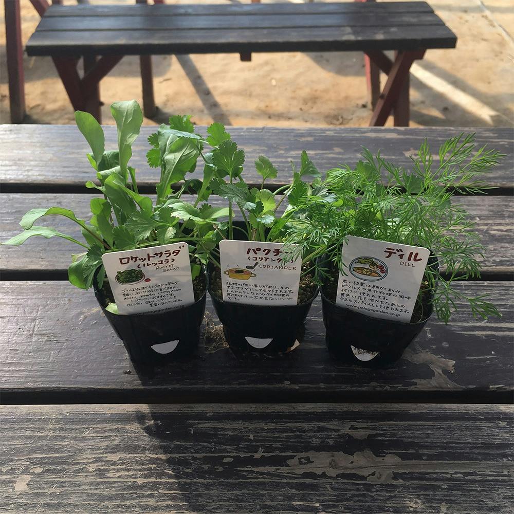 お鍋に合うハーブ3点セット 野菜・ハーブ お鍋に合うハーブ3点セット 野菜・ハーブ