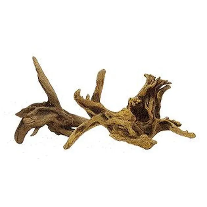 流木マングローブ系 S