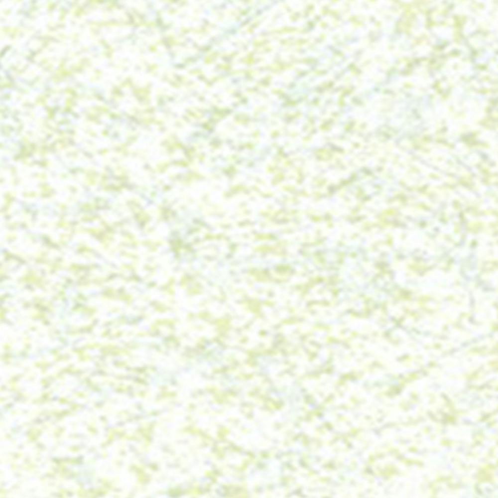 クトク Pプリント 2×8(幅60.6×奥行243×高さ0.38mm) P-22