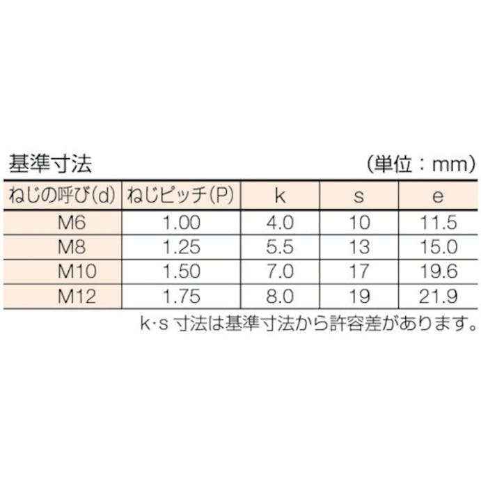 【CAINZ-DASH】コノエ 六角ボルト　ステンレス　全ねじ　Ｍ１０ｘ１５　（１００本入） BT-SUS-1015【別送品】