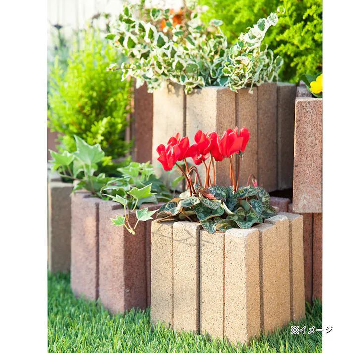 フラワーボックス レッド