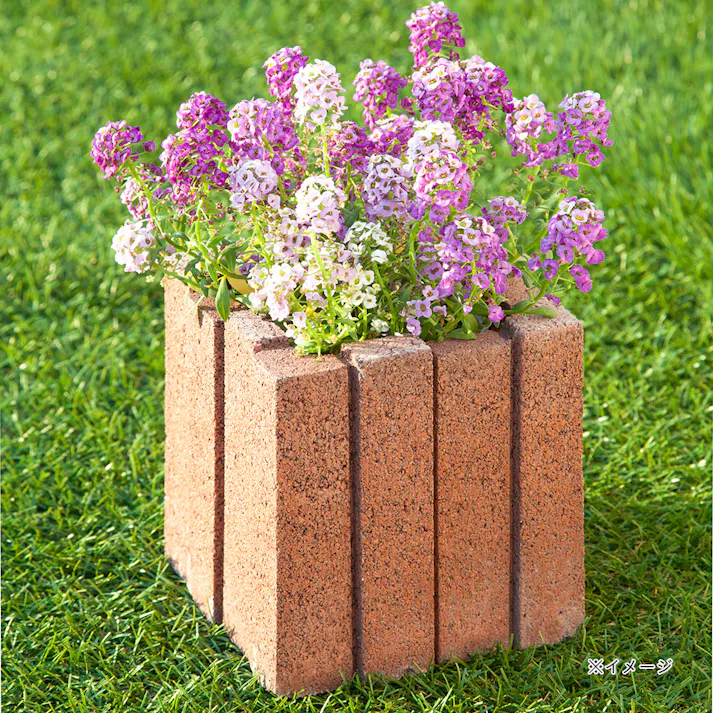 フラワーボックス レッド