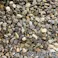 TAIKOH 大磯砂利 5分 12-15mm 10kg 化粧砂利 グレー 黒 ブラック 玉石 中