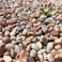 TAIKOH 美仙ピンク 3分 6-10mm 10kg 天然大理石 化粧砂利 ピンク 桃色 玉石 小