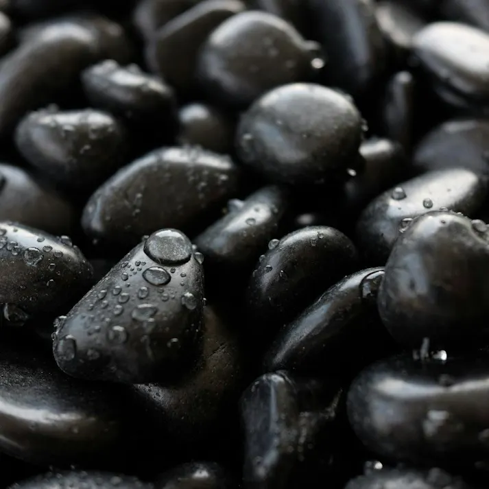 TAIKOH 高級黒玉石 黒光石 5分 16-22mm 10kg 化粧砂利 ブラック 黒 磨き 玉石 中