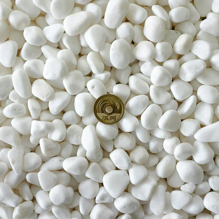 TAIKOH 高級白玉石 白仙 3分 10-15mm 10kg 化粧砂利 ホワイト 白 水磨き 玉石 小