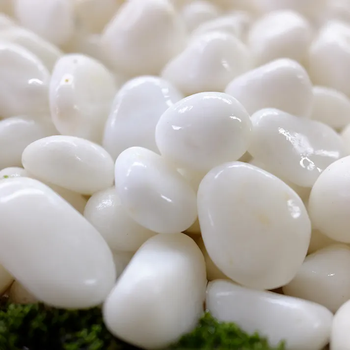 TAIKOH 高級白玉石 白仙 5分 15-20mm 10kg 化粧砂利 ホワイト 白 水磨き 玉石 中