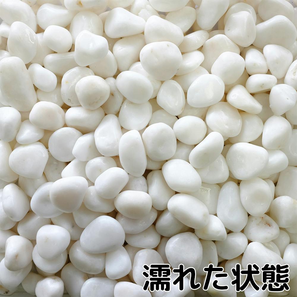 TAIKOH 高級白玉石 白仙 8分 20-25mm 10kg 化粧砂利 ホワイト 白
