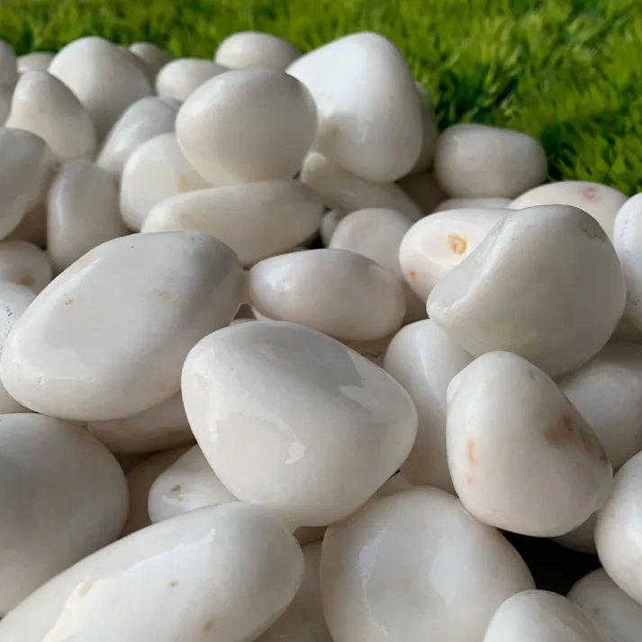 TAIKOH 高級白玉石 白仙 1寸 25-30mm 10kg 化粧砂利 ホワイト 白 水磨き 玉石 中