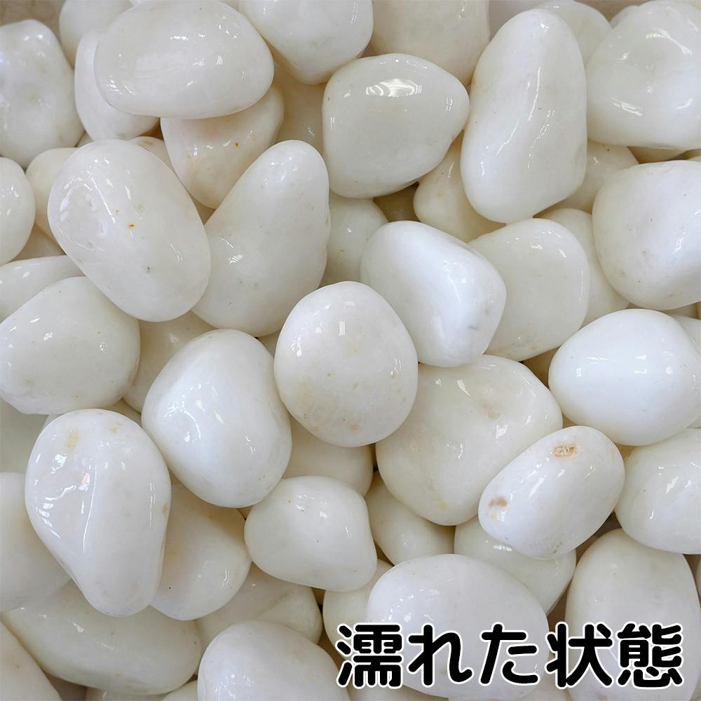 TAIKOH 高級白玉石 白仙 1.5寸 30-40mm 10kg 化粧砂利 ホワイト TAIKOH 高級白玉石 白仙 1.5寸 30-40mm 10kg 化粧砂利 ホワイト