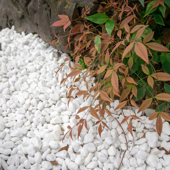 TAIKOH 白玉砂利 3分 12-16mm 10kg 化粧砂利 ホワイト 白 玉石 小