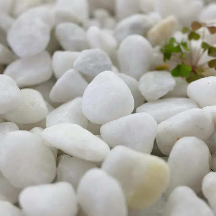 TAIKOH 白玉砂利 3分 12-16mm 10kg 化粧砂利 ホワイト 白 玉石 小