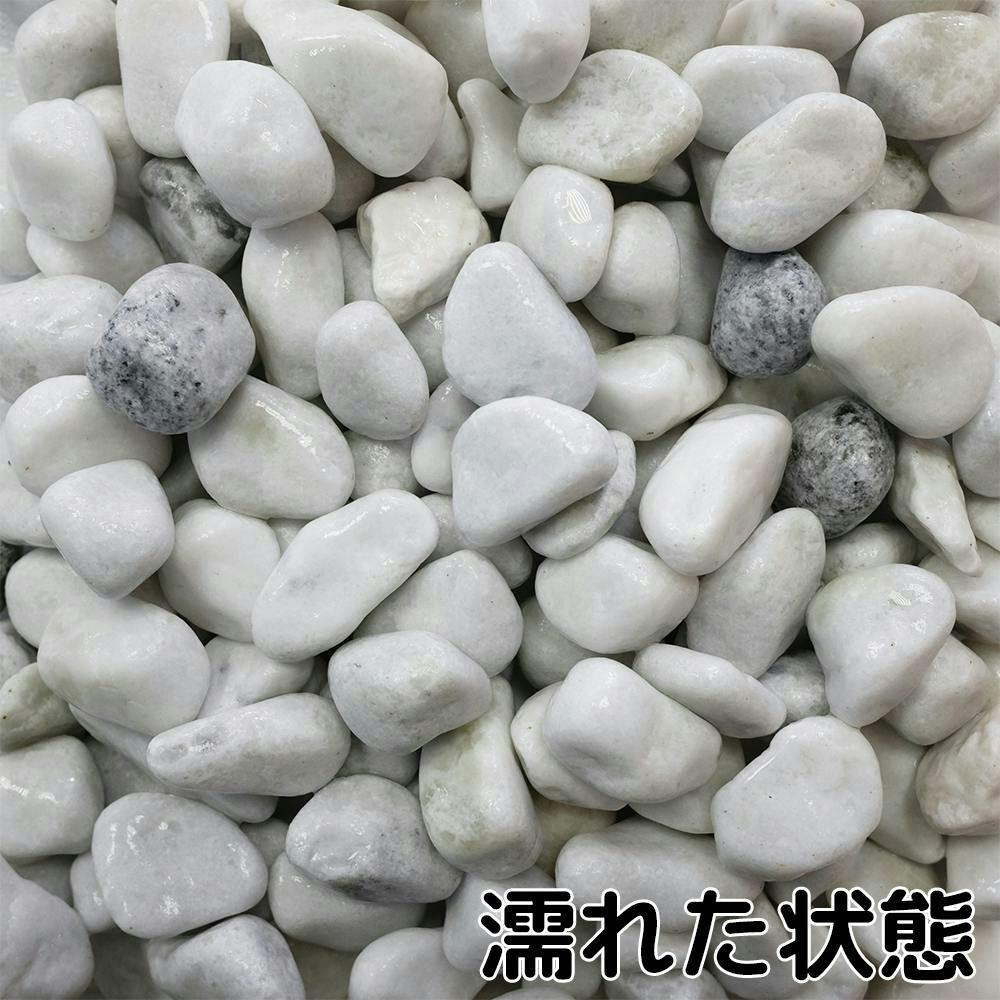 TAIKOH 白玉砂利 8分 22-28mm 10kg 化粧砂利 ホワイト 白 玉石 TAIKOH 白玉砂利 8分 22-28mm 10kg 化粧砂利 ホワイト 白 玉石