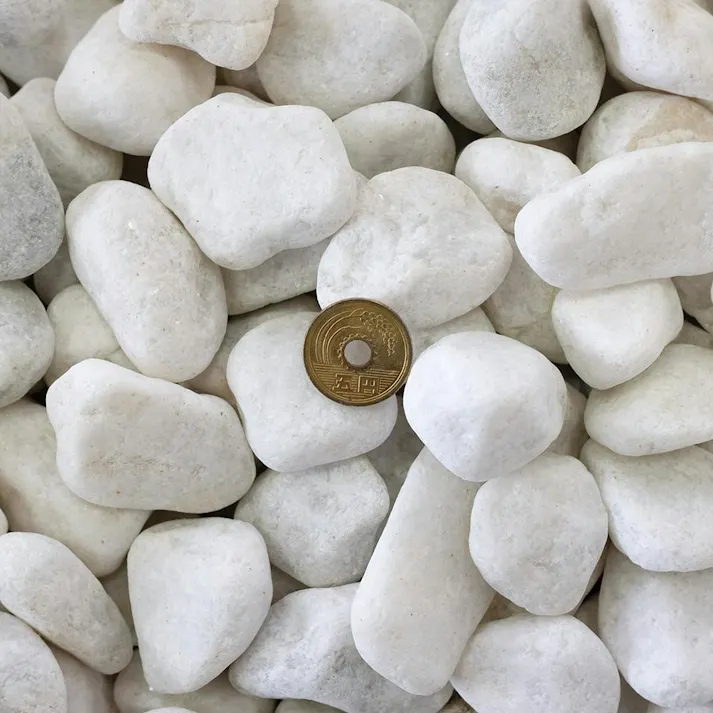 TAIKOH 白玉砂利 1寸 28-35mm 10kg 化粧砂利 ホワイト 白 玉石 大